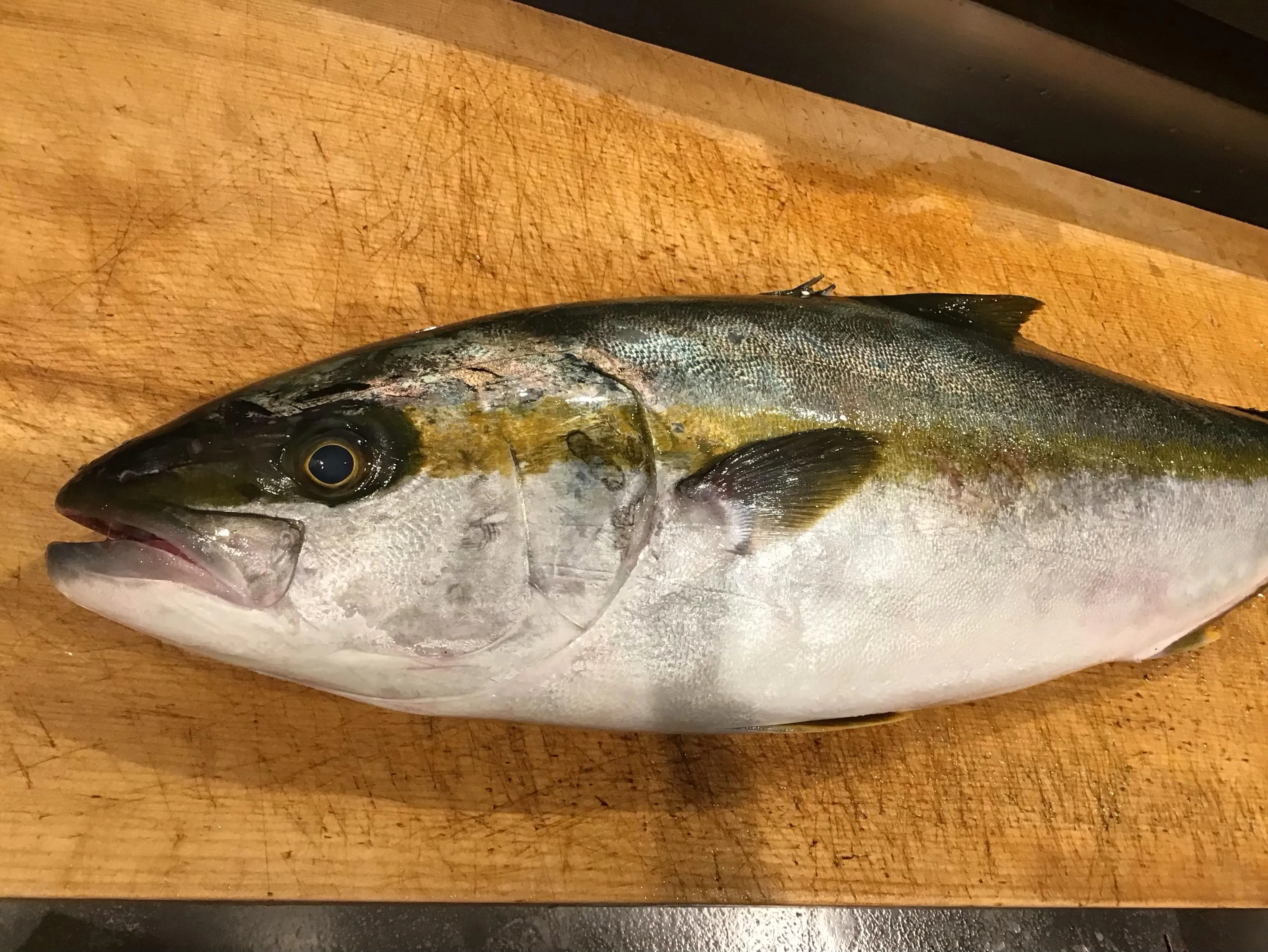 ひらまさ